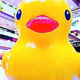 Image for article titled In China, There Are Too Many Giant Rubber Duck Rip-Offs